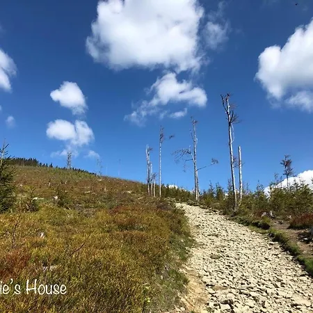 Appartamento Amelie's House