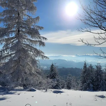 Appartamento Amelie's House