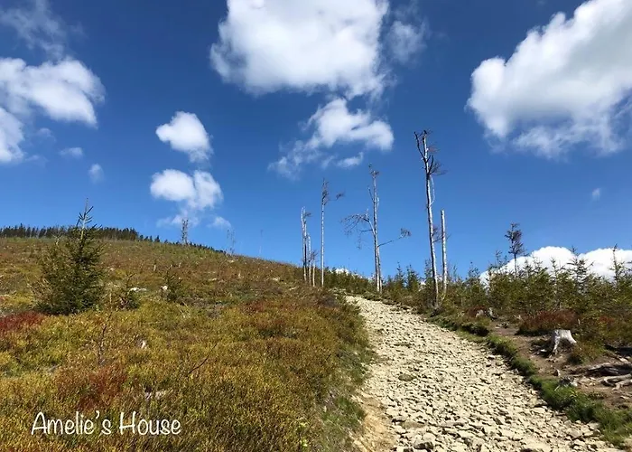 Appartamento Amelie's House